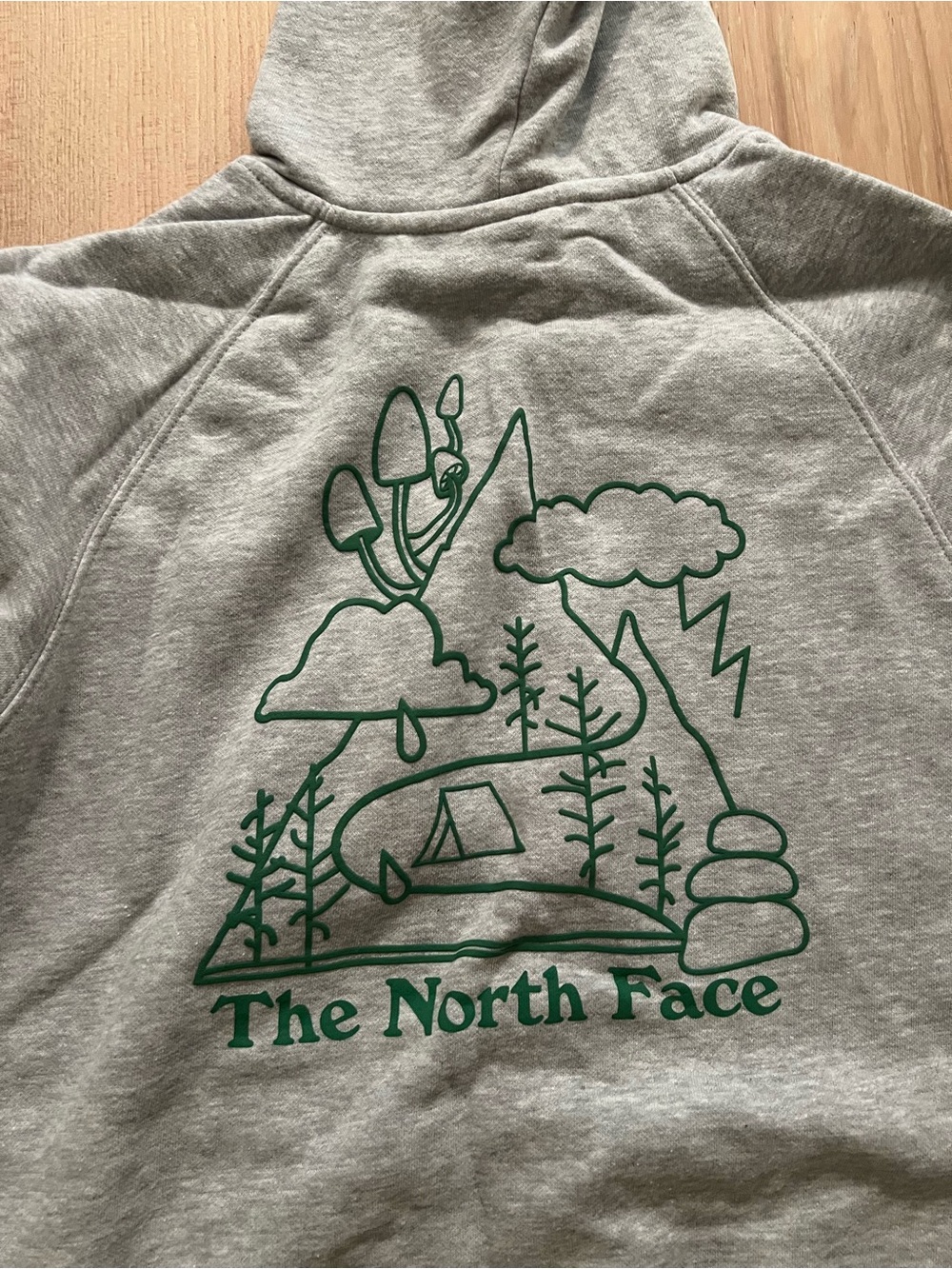 The North Face Heather Gray Hoodie with Green Back Graphic